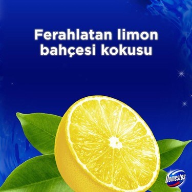 Yoğun Parfümlü Limon Bahçesi ile WC Blok Ürünü