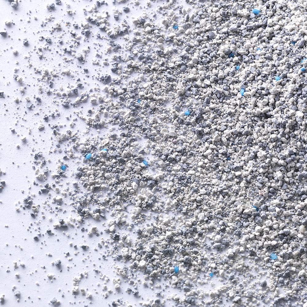 Ever Clean Spring Garden Çiçek Kokulu Topaklanan Kedi Kumu 10lt
