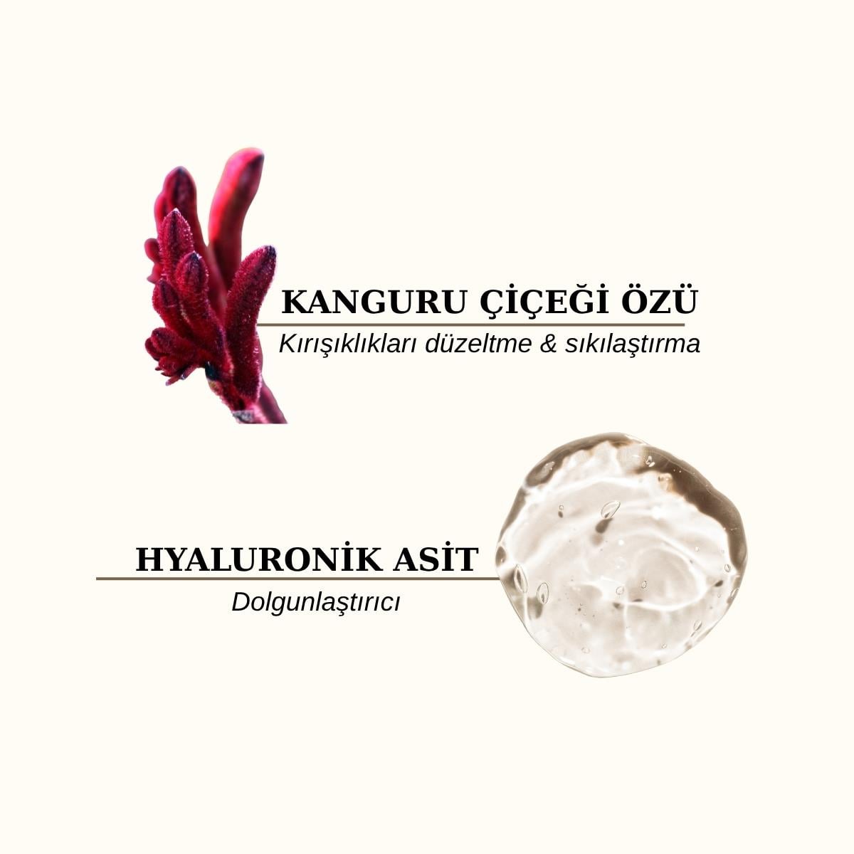 Firming Lifting Cream 