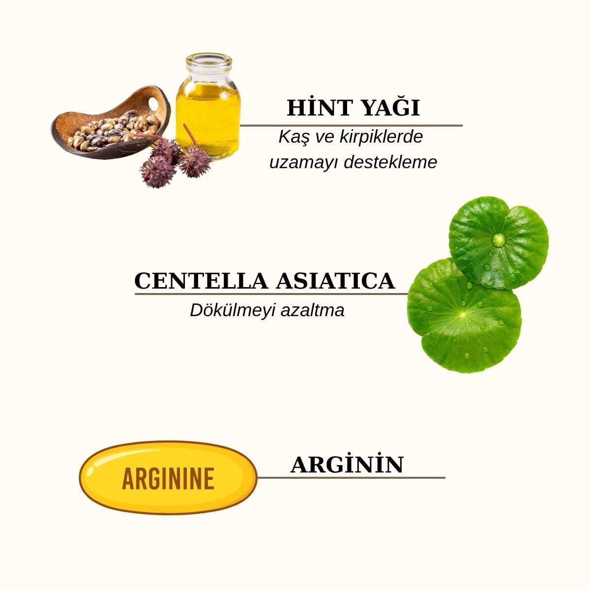 Lashes & Brows Booster