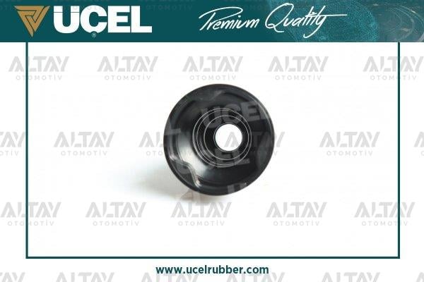 AKS KÖRÜĞÜ TEK (YAĞSIZ KELEPÇESİZ)