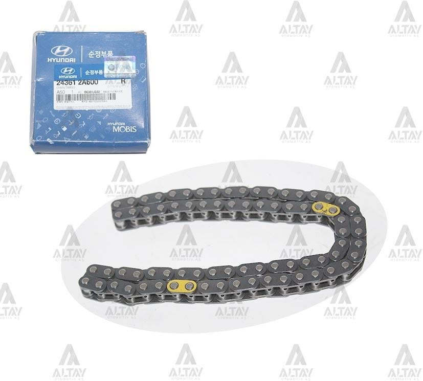 EKSANTRİK ZİNCİR I-20 15-18 / ACCENT ERA / GETZ / I-20 / I-30 / BLUE / CEED / CERATO / RIO DİZEL14-18 BLUE / ELANTRA 16-18 DİZEL