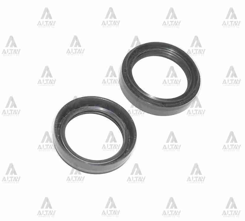 KEÇE TEKER PORYA (AKS) ACCENT  95-00 PORYA (50x66.5x13x16) ÖN