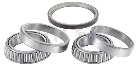 TEKER RULMANI MASTER III 10= 2.3DCI ARKA ÇİFT TEKER KEÇELİ TAKIM