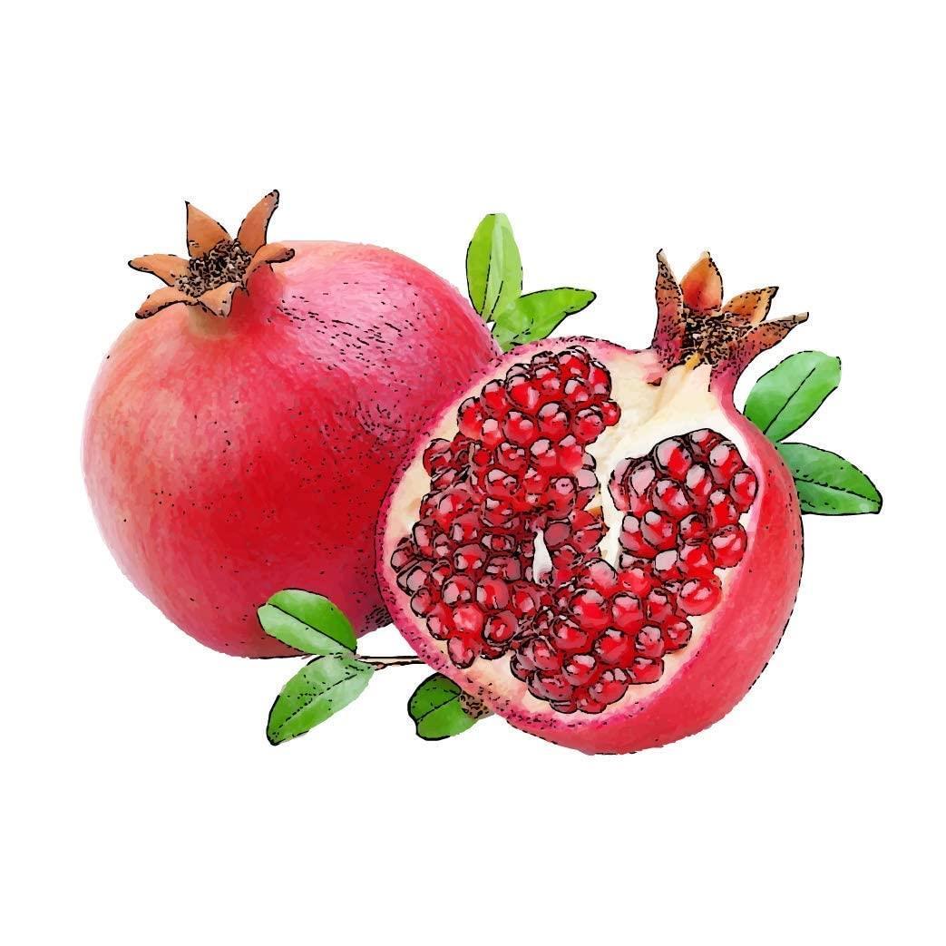 BENORGANIC Organik Nar Suyu 946 ml Cam Şişe