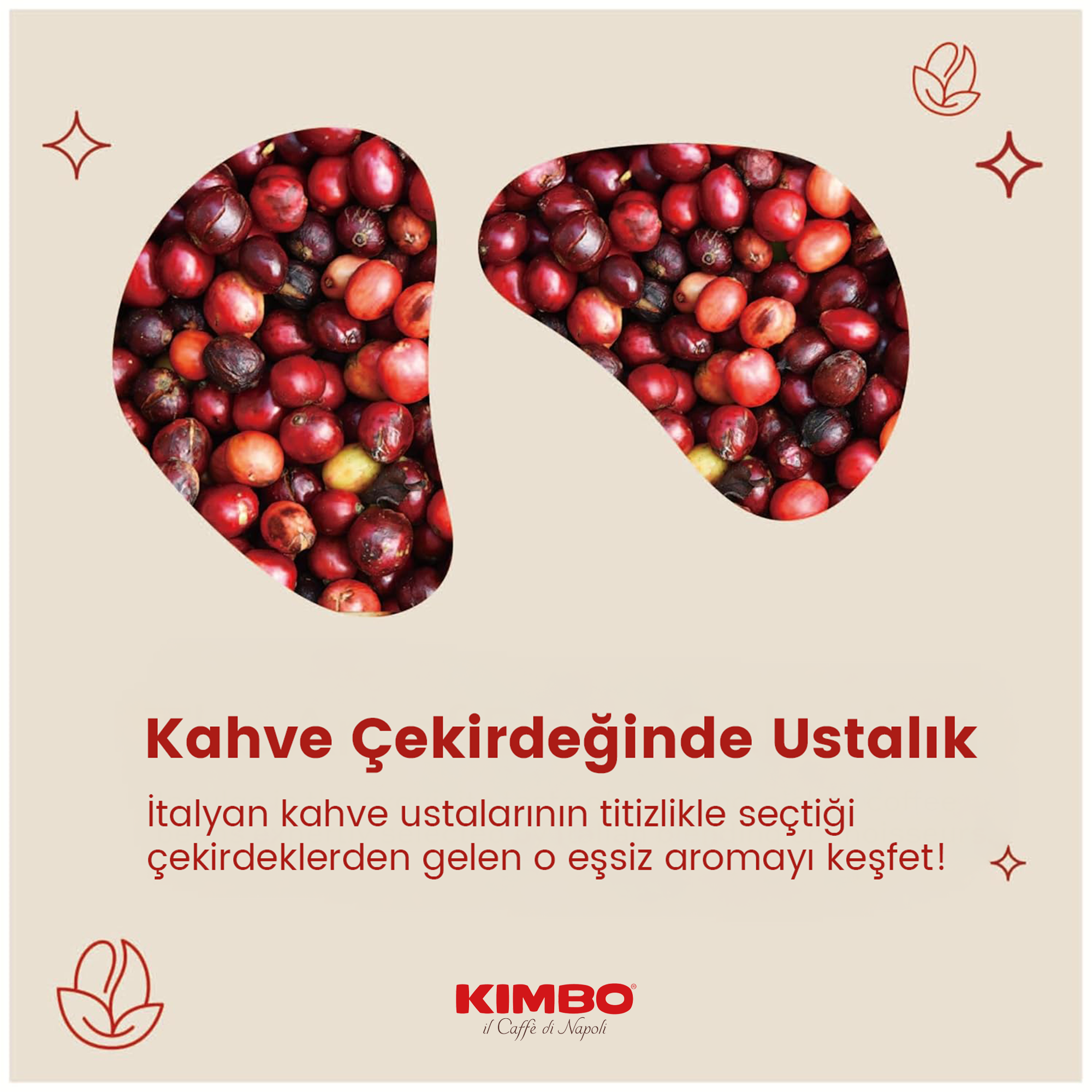 KIMBO INTENSO Çekirdek Kahve | Orta Kavrulmuş | 12/13 Yoğunluk | Dengeli ve Kremsi | İtalya'da Harmanlanmış ve Kavrulmuş | 1 Kg x 6 Adet