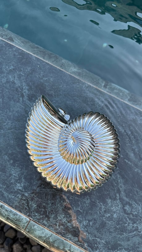Aurea Silver Çanta