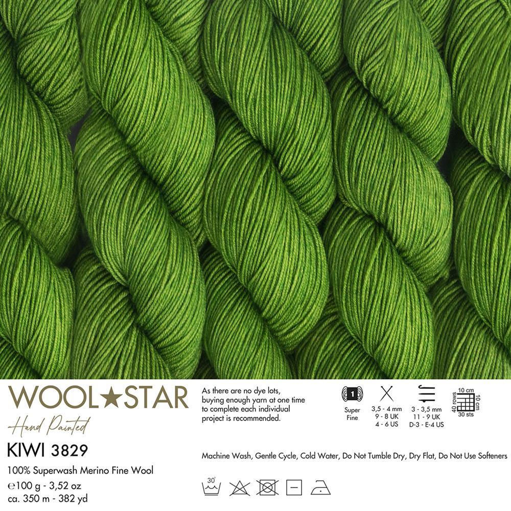 gazzal-wool-star-yarn-100g-3829-c-4f70.jpg