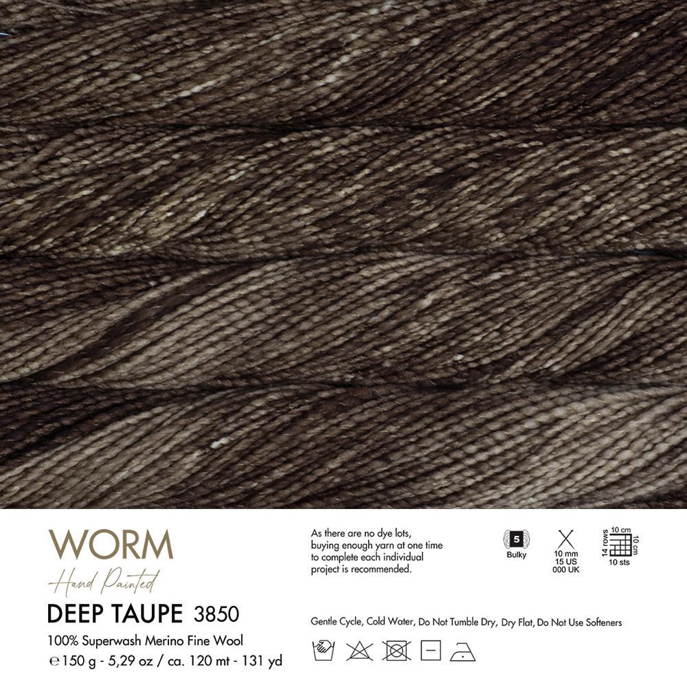 gazzal-worm-yarn-150g-3850-d-852f.jpg
