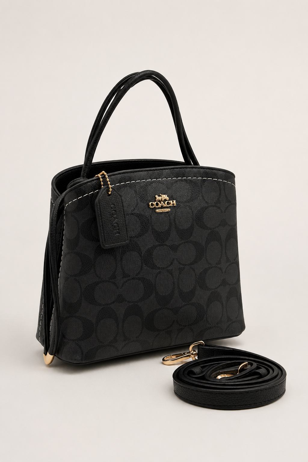 COAC CARRY Siyah Monogram