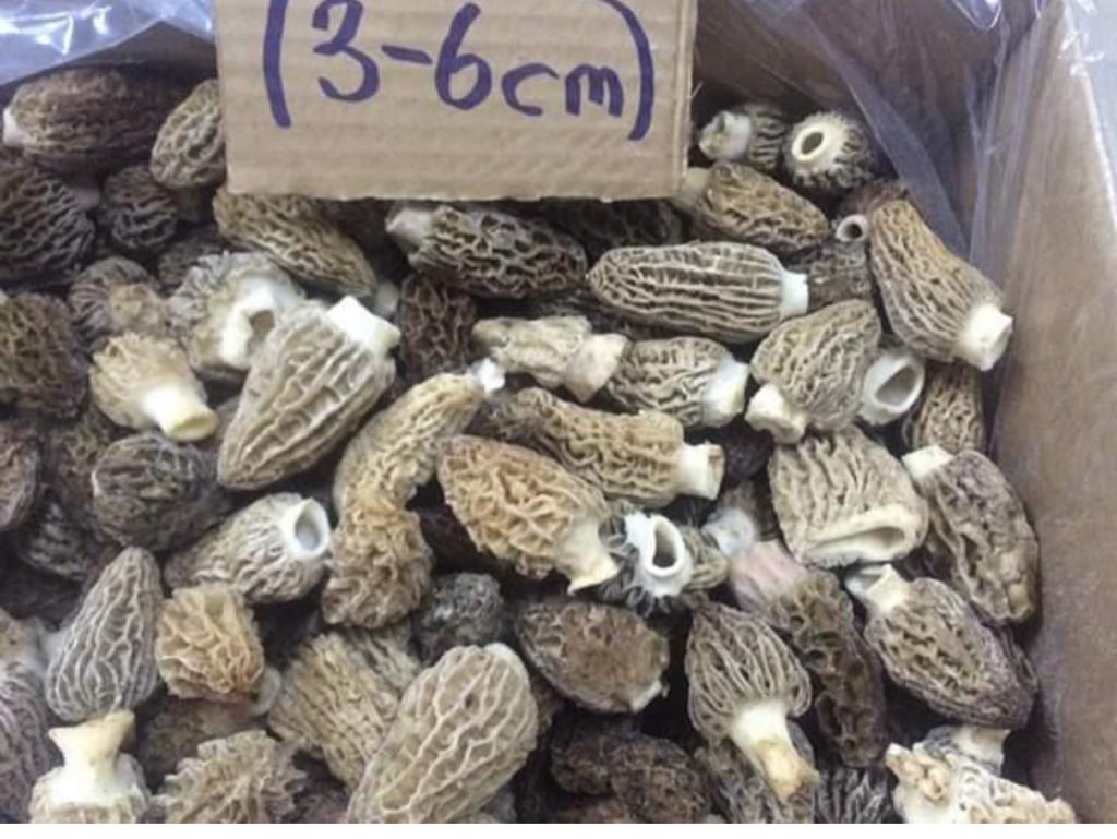 Kurutulmuş Kuzu Göbeği 1Kg