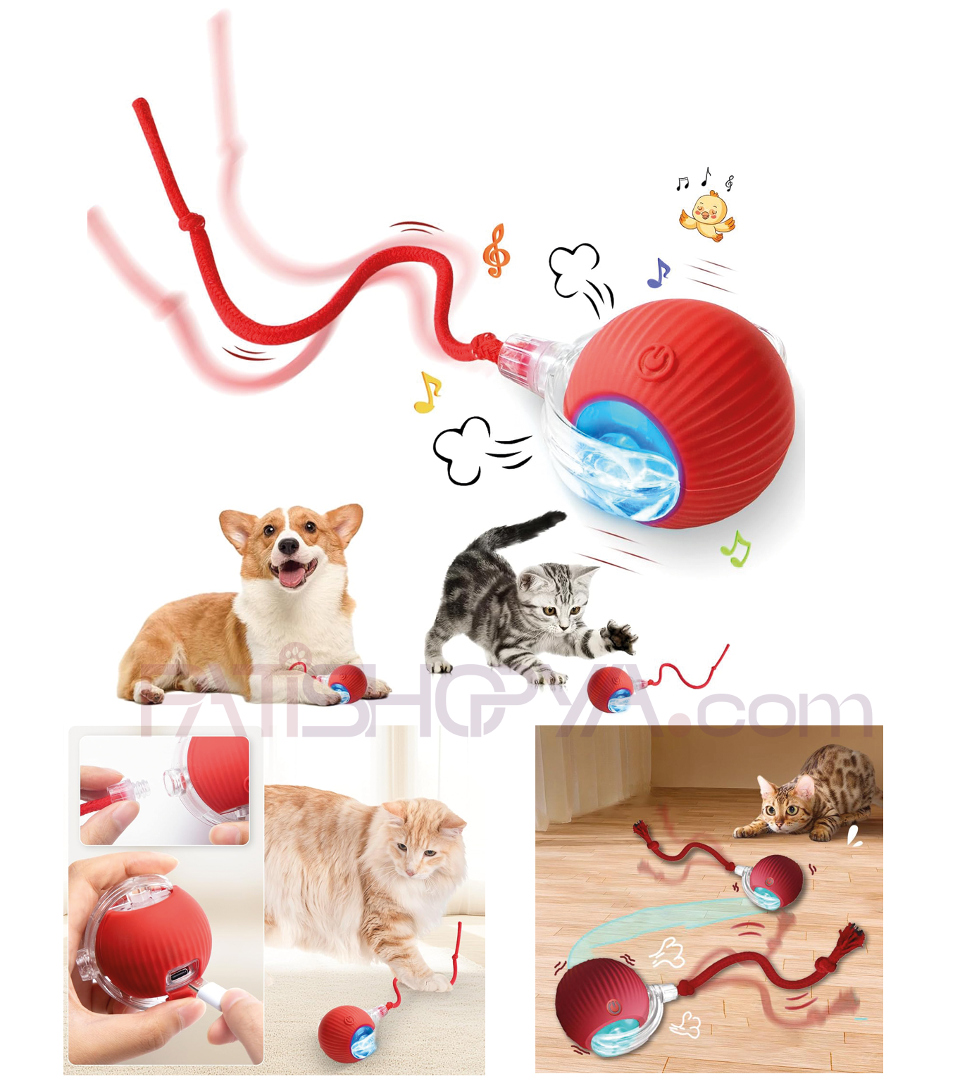 PATİSHOPYA3 Modlu Şarjı İpli Akıllı Kedi Oyun Topu