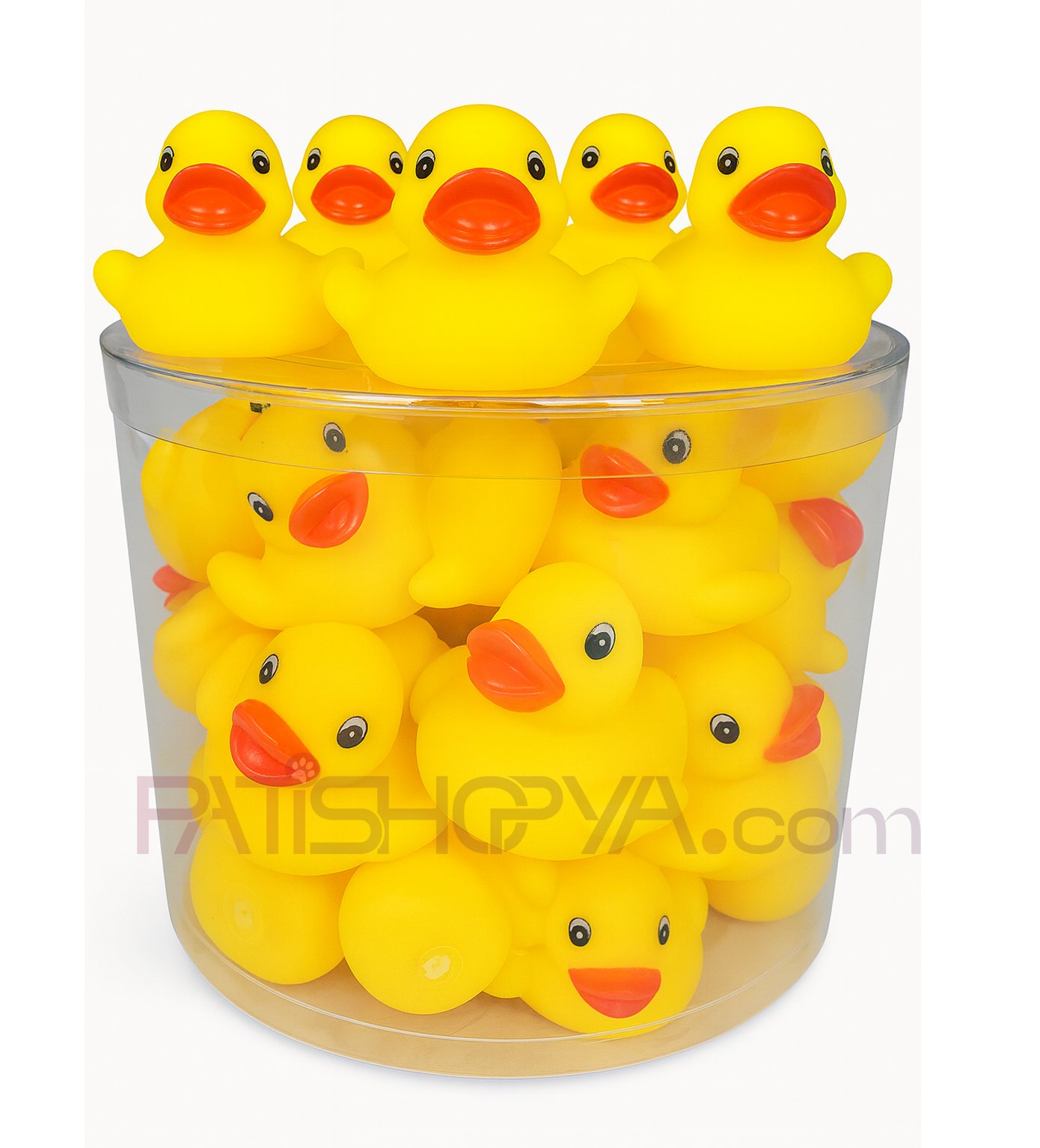 PATİSHOPYA40LI SESLİ ÖRDEK KUTU