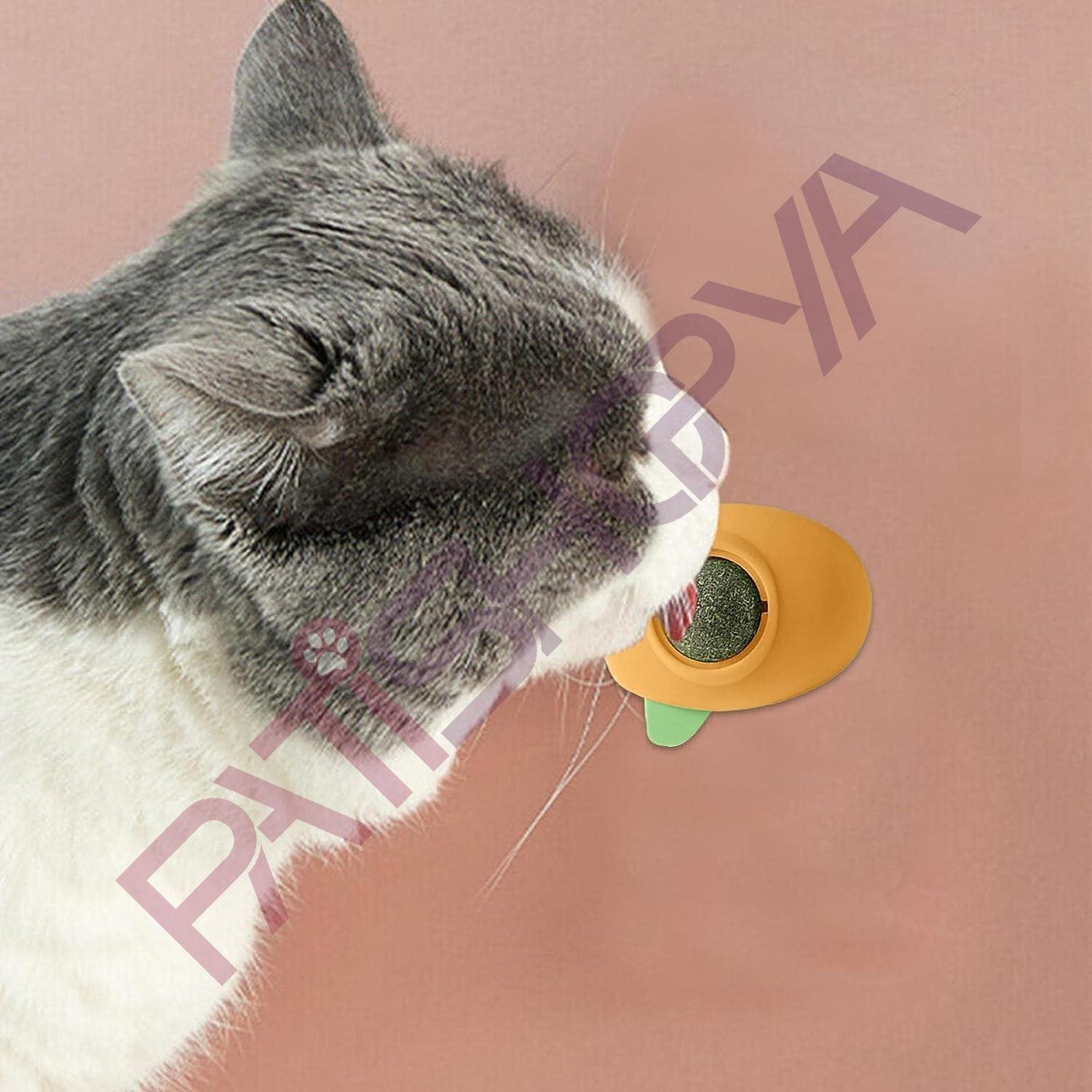 Kedi Yalama Topu Uçak Model