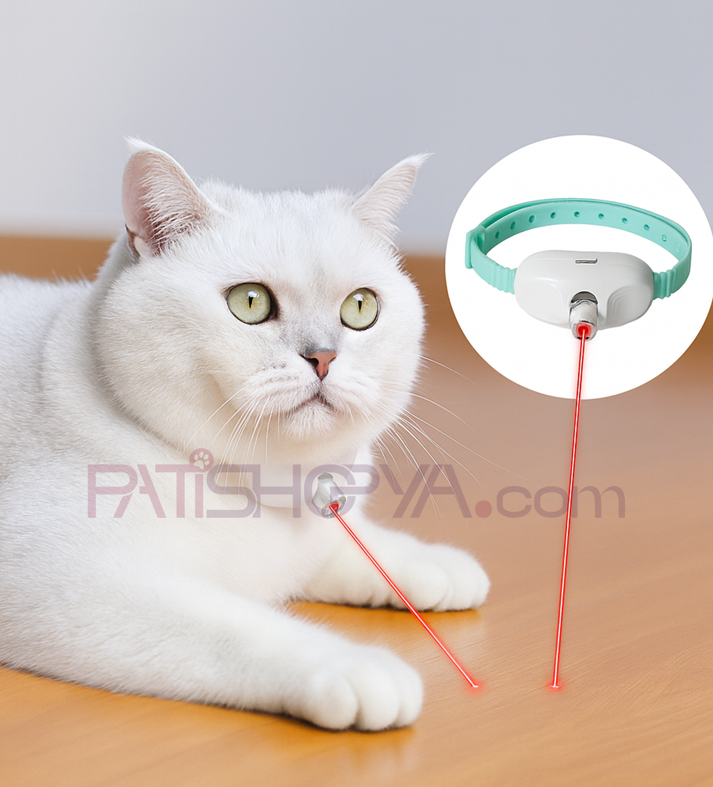 PATİSHOPYALazer Kedi Boyunluğu (KUTULU)