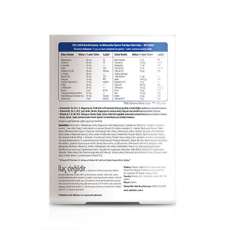 Vitabiotics Wellman Original 30 Tablet