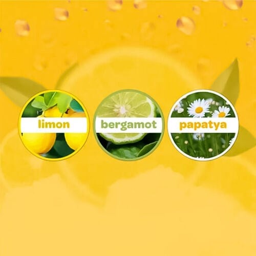 dalin-limon-cicegi-bebek-kolonyasi-100-6-6d1b.jpg