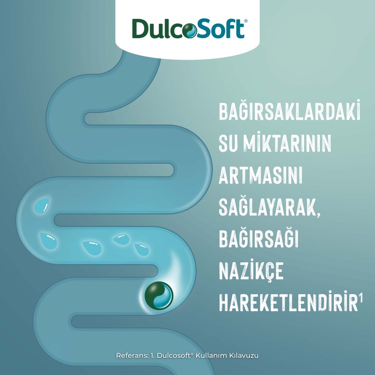 Dulcosoft Oral Solüsyon 250 ml