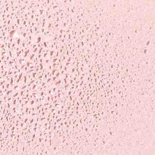 nuxe-very-rose-fragrance-100-ml-8199a2.jpg