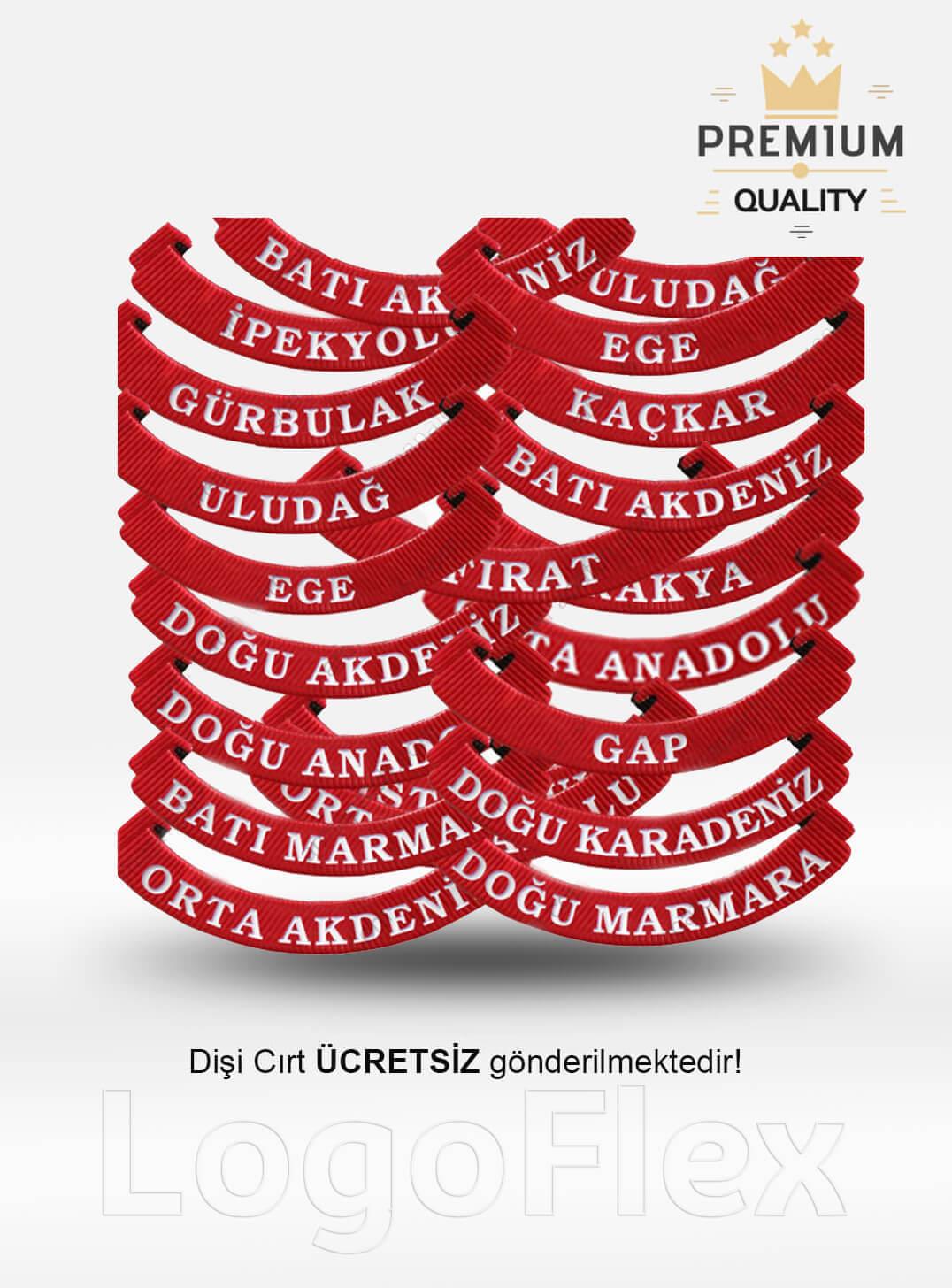 LogoFlexGümrük Bölge Yazısı - OnaylıLF0033