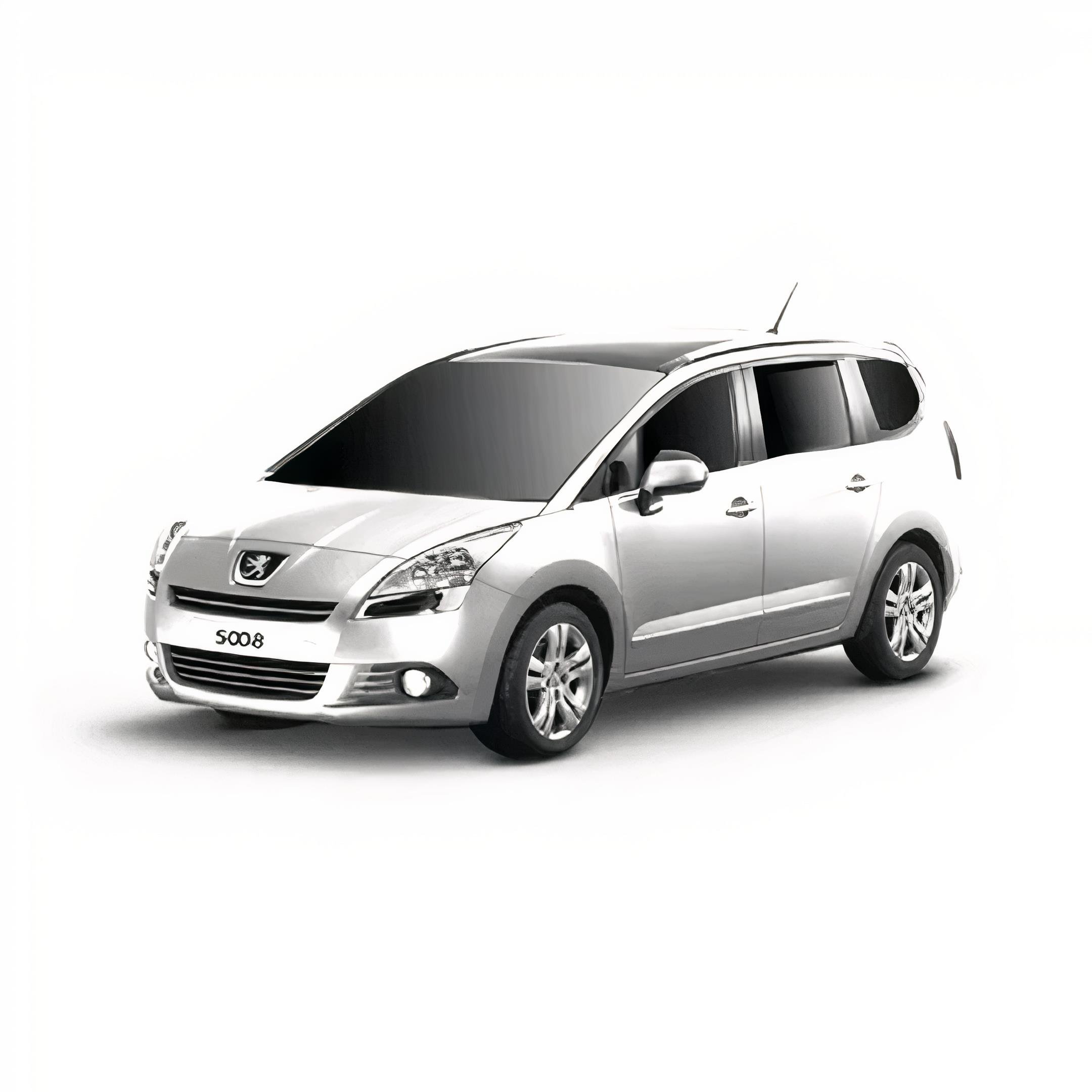 Peugeot 5008 Halı Bagaj Havuzu (2011-2017 Arası)