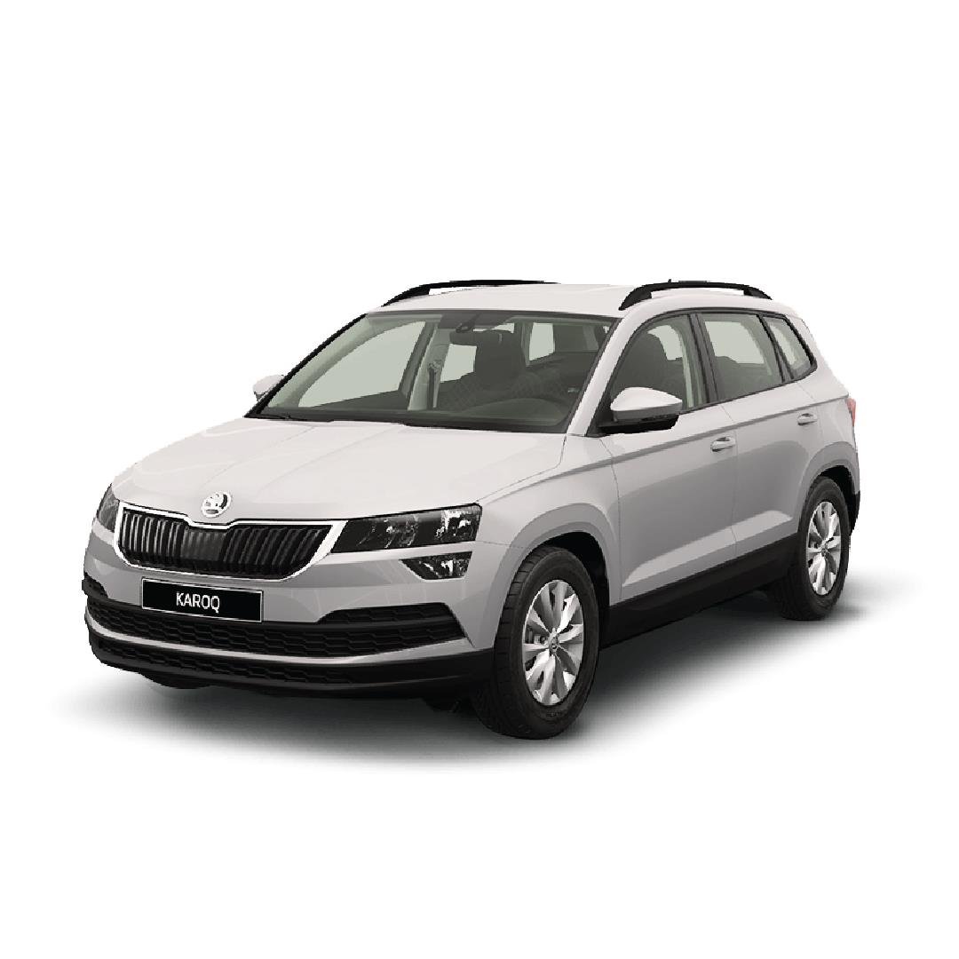 Skoda Karoq Halı Bagaj Havuzu