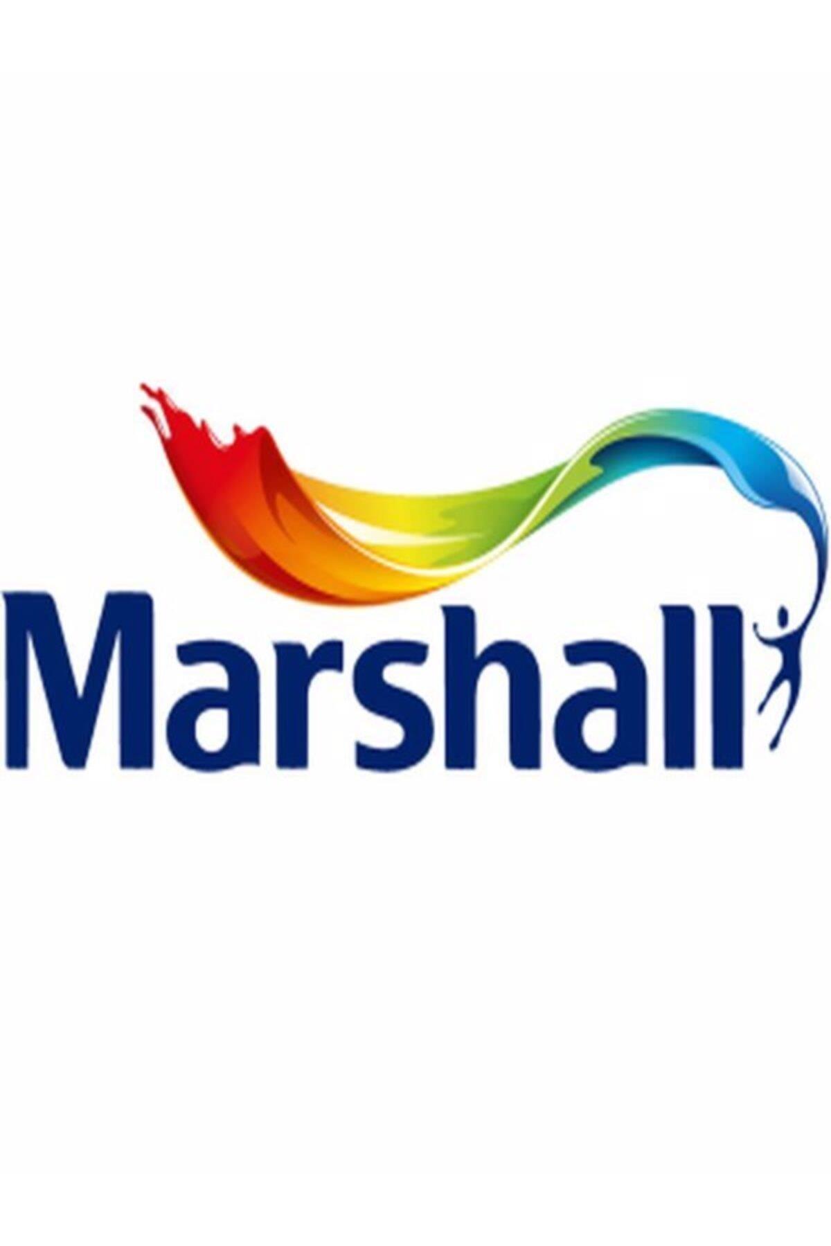 MARSHALL SU BAZLI PANEL KAPI BOYASI BEYAZ