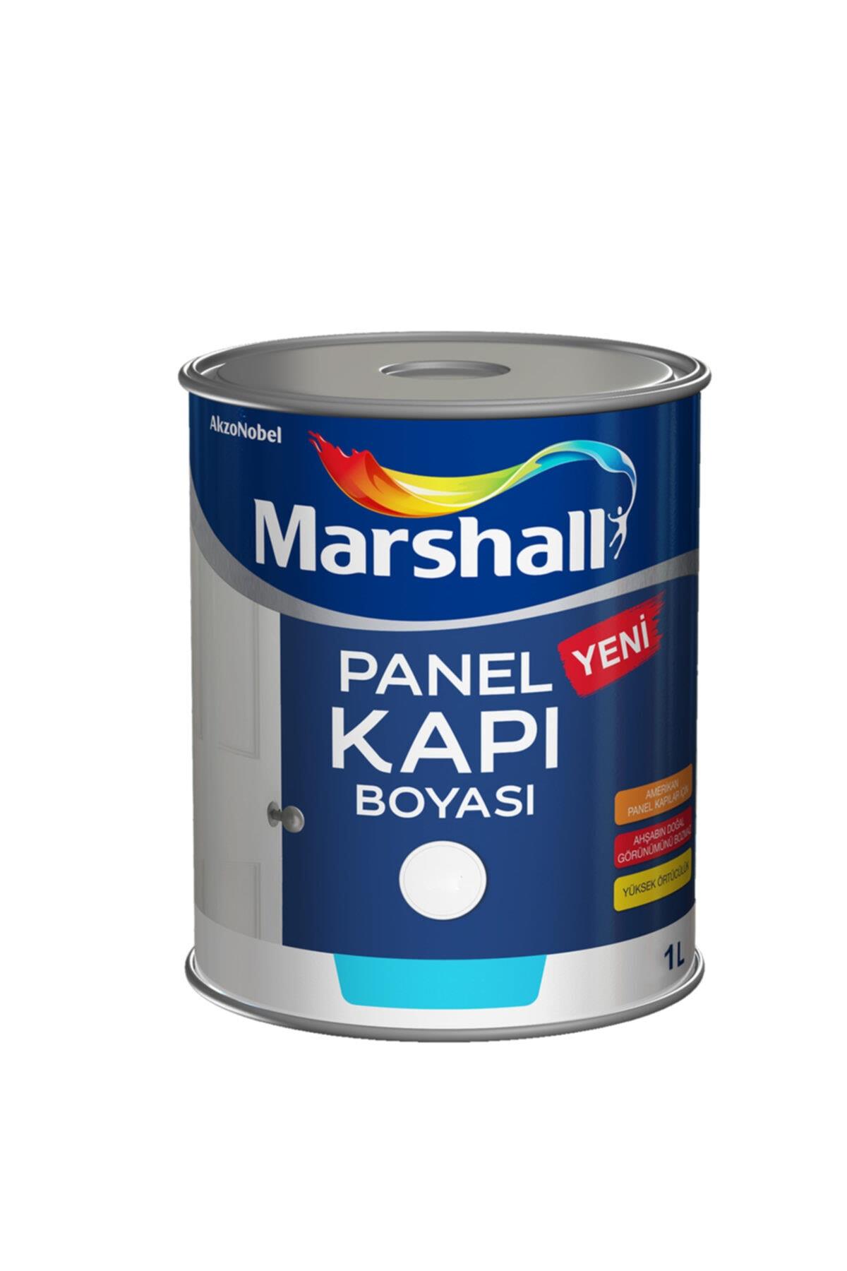 MARSHALL SU BAZLI PANEL KAPI BOYASI BEYAZ