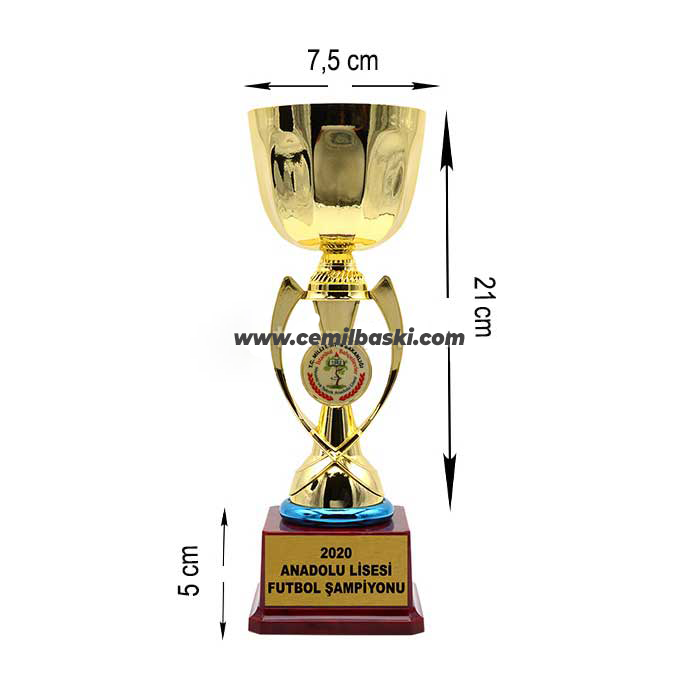 Altın Ödül Kupası S-OD79 (33 cm)