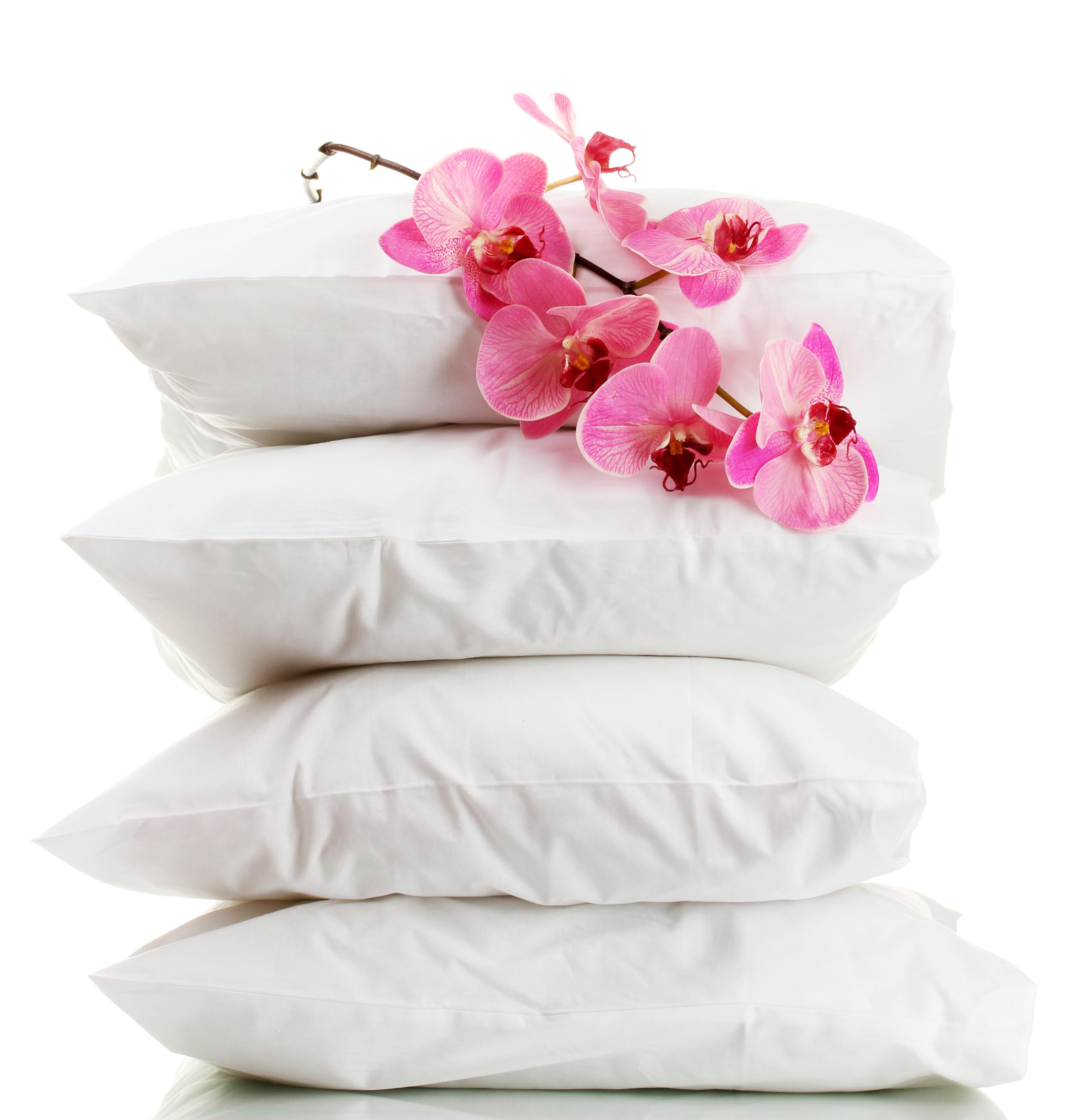 Silk Filled Pillow