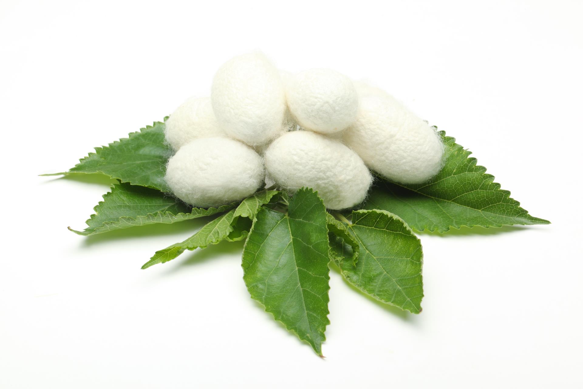 Kumkat - Saf İpek Saç Tokası Orta Boy