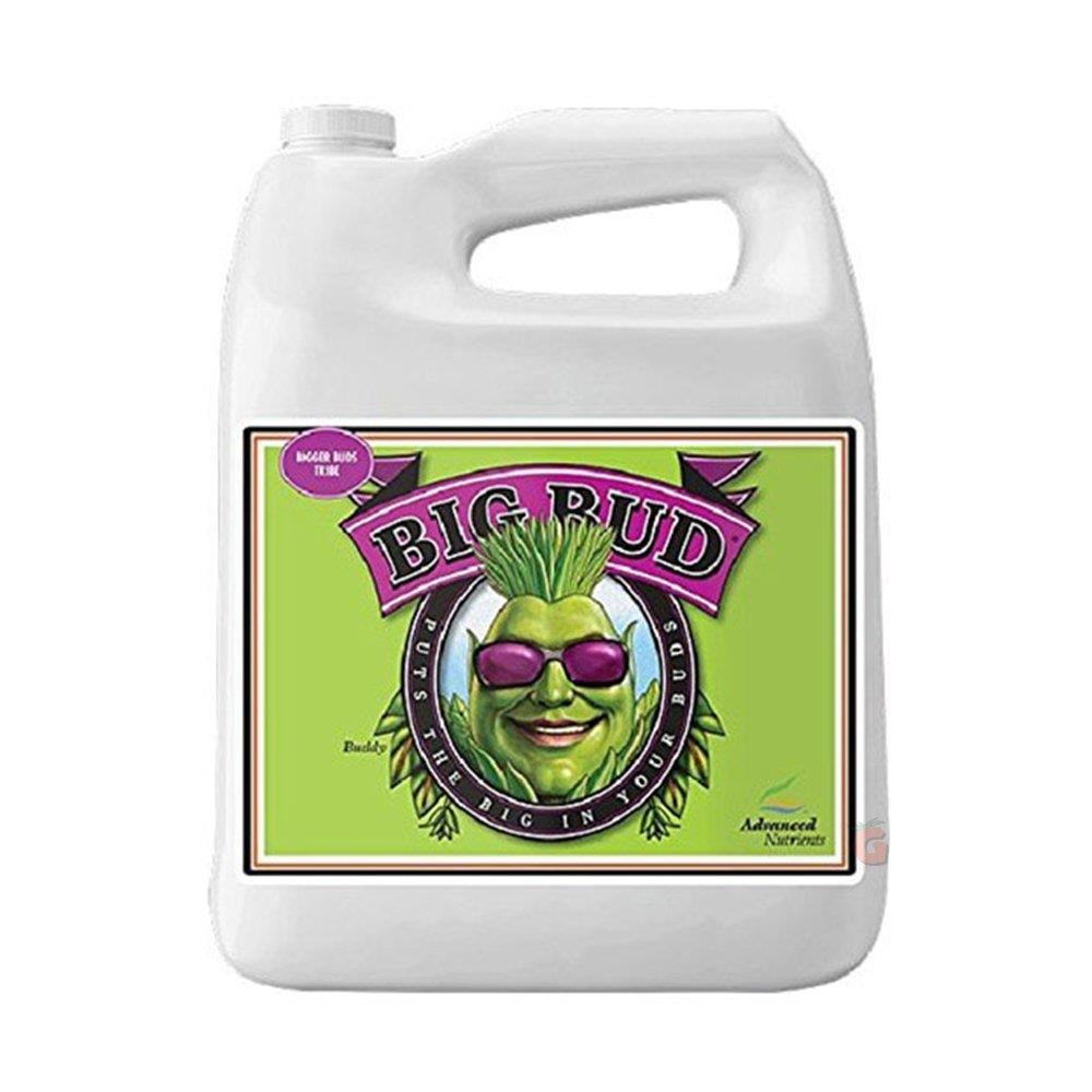 Advanced Nutrients Big Bud 10 litre