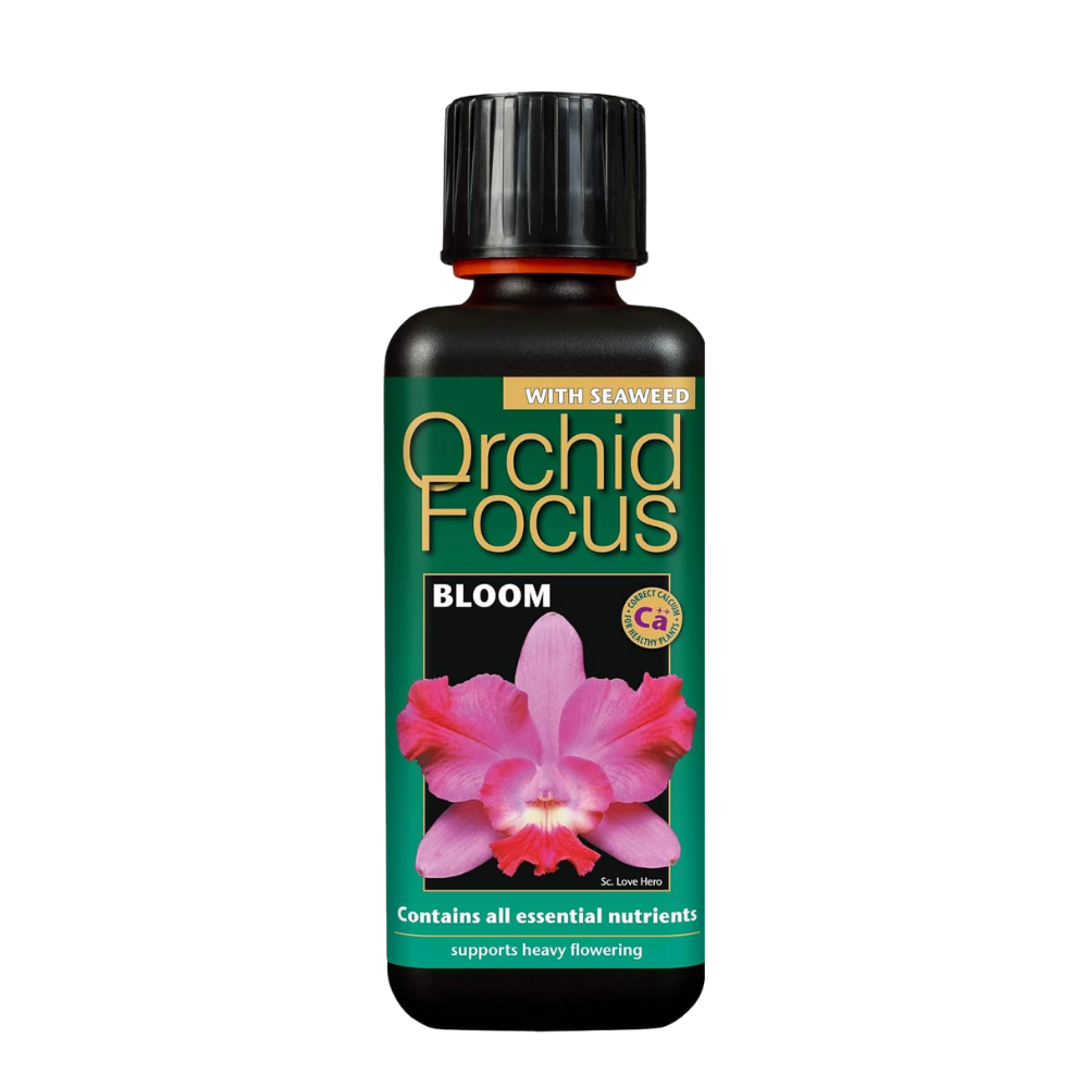 Growth Technology Orchid Focus Bloom 300 ml