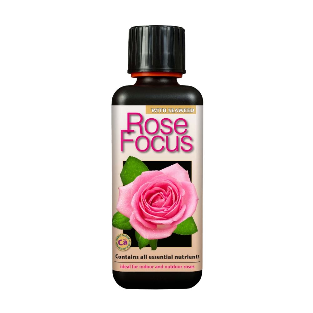 Growth Technology Rose Focus 300 ml