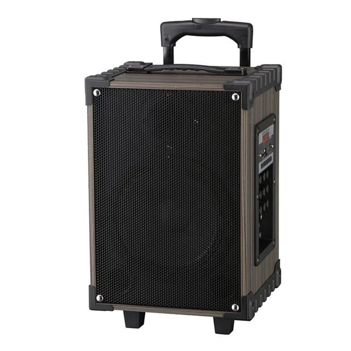 100 Watt Şarjlı ve Mikrofonlu Çanta Amfi