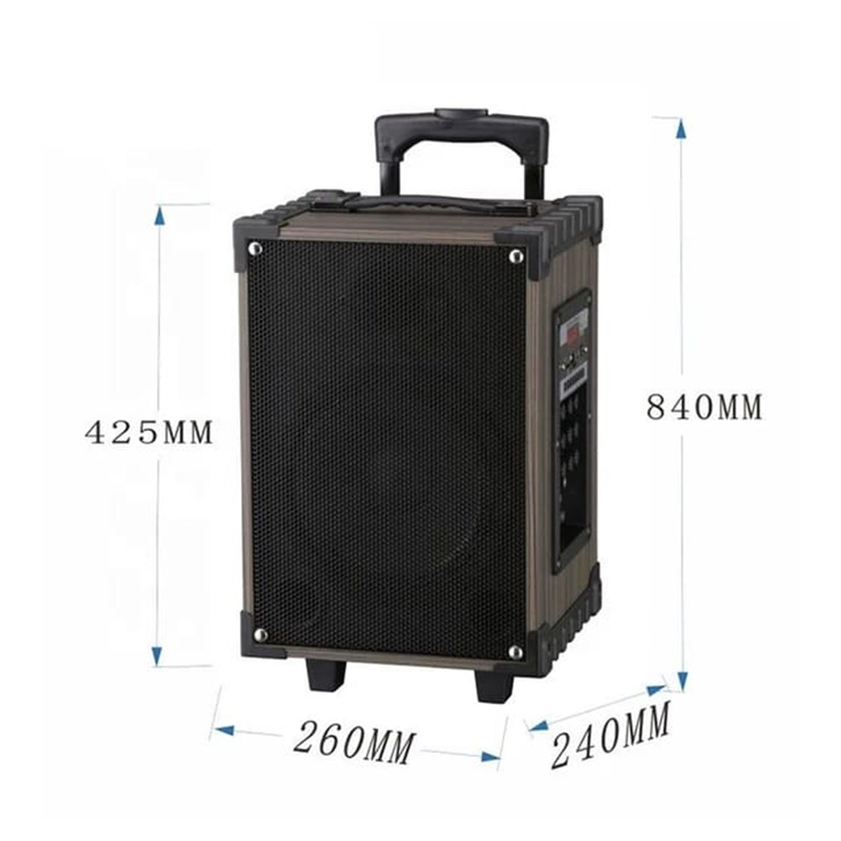100 Watt Şarjlı ve Mikrofonlu Çanta Amfi