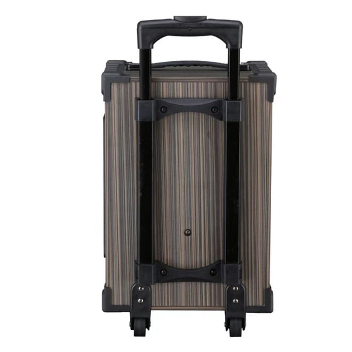 100 Watt Şarjlı ve Mikrofonlu Çanta Amfi