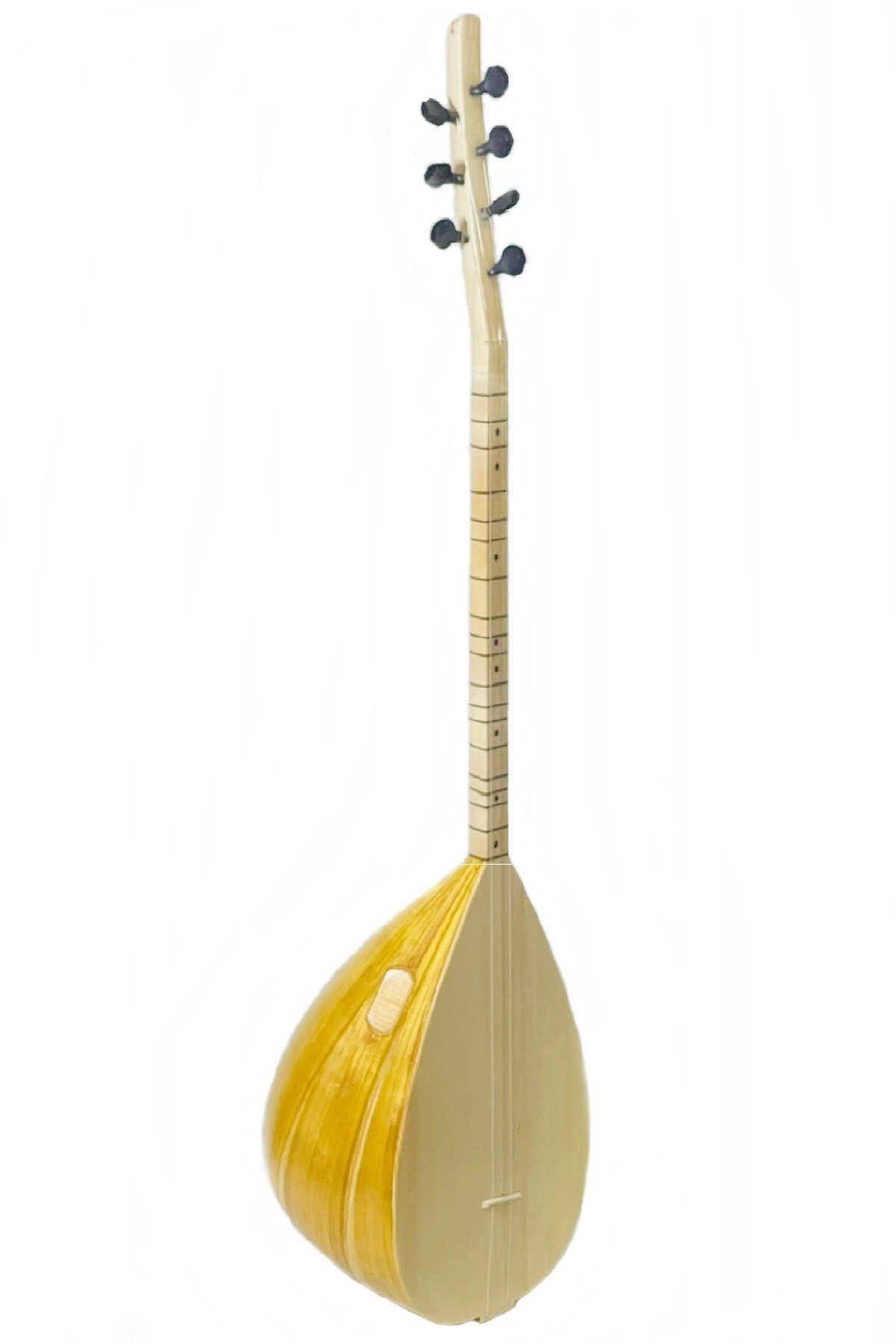 Piarro Uzun Sap Dut Ağacı Bağlama