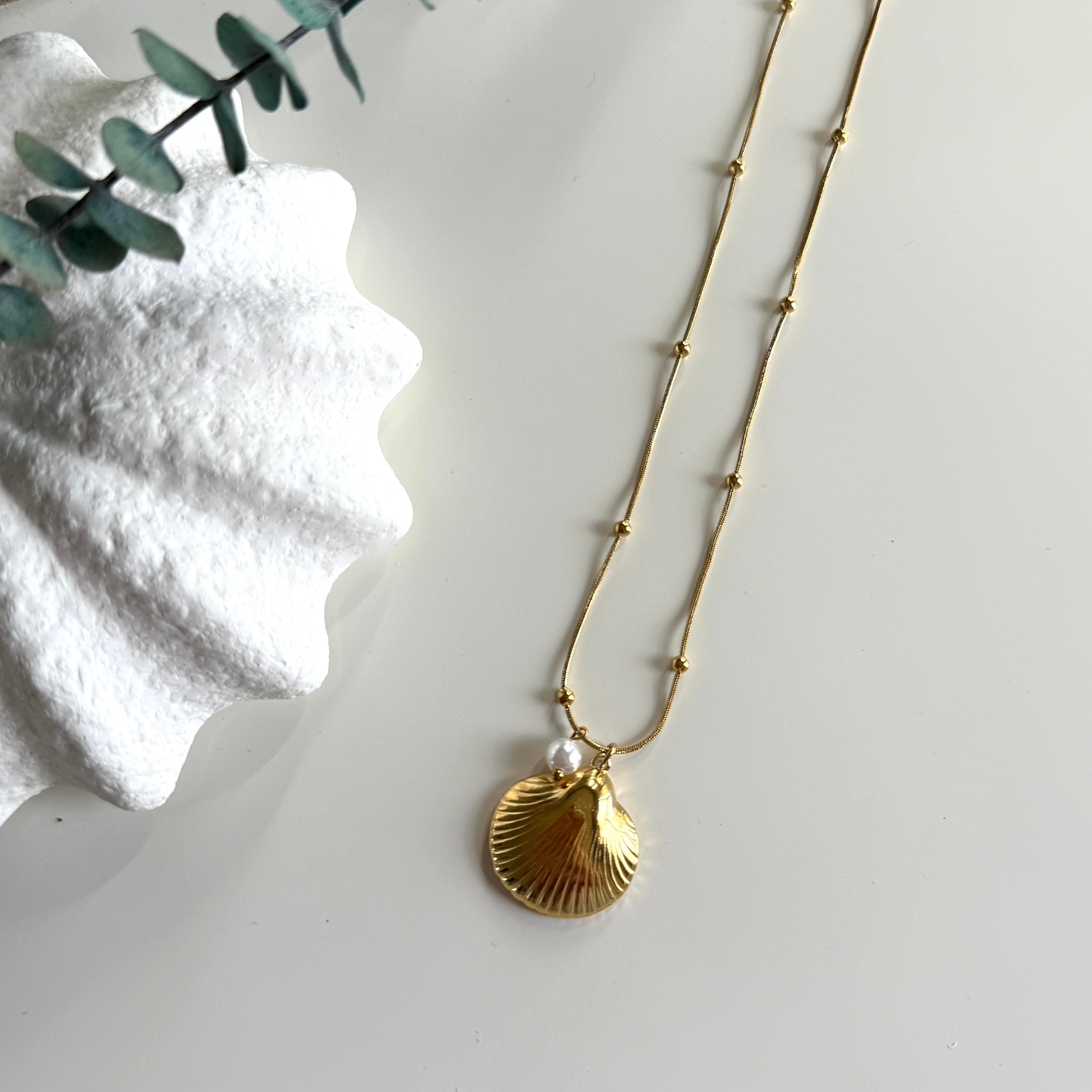 Çelik İncili Deniz Kabuğu Kolye