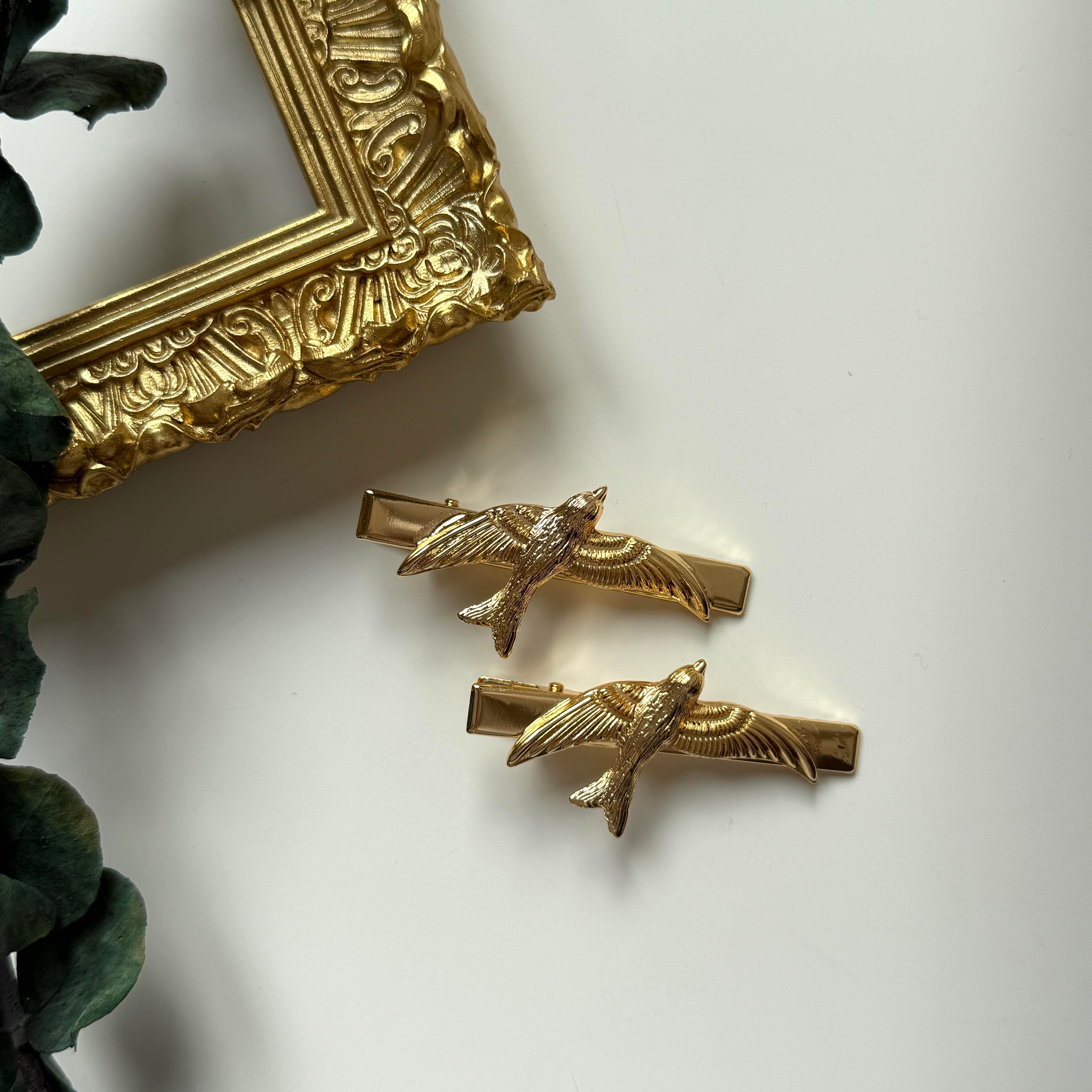 Kırlangıç Pens Toka 2li