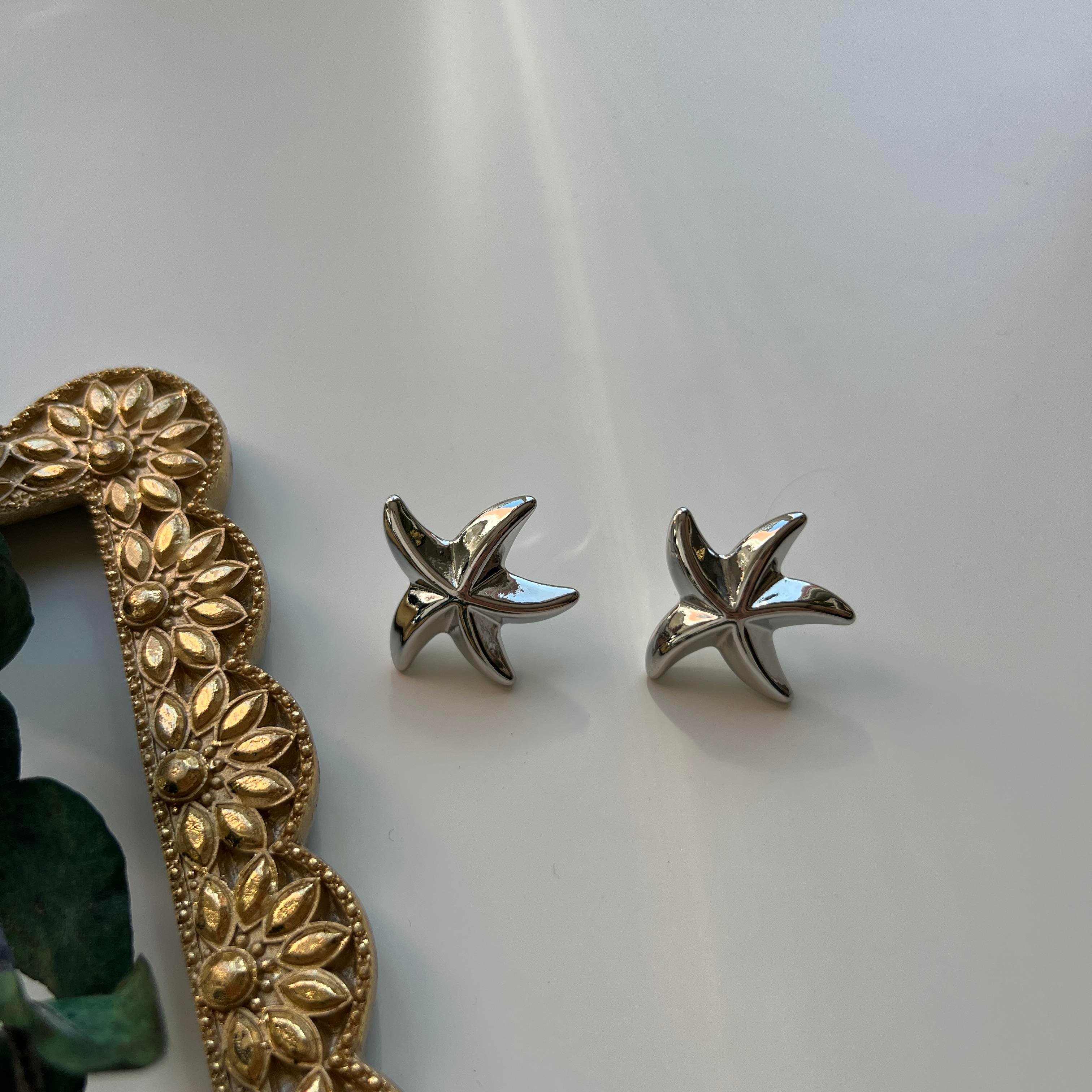 Silver Deniz Yıldızı Küpe
