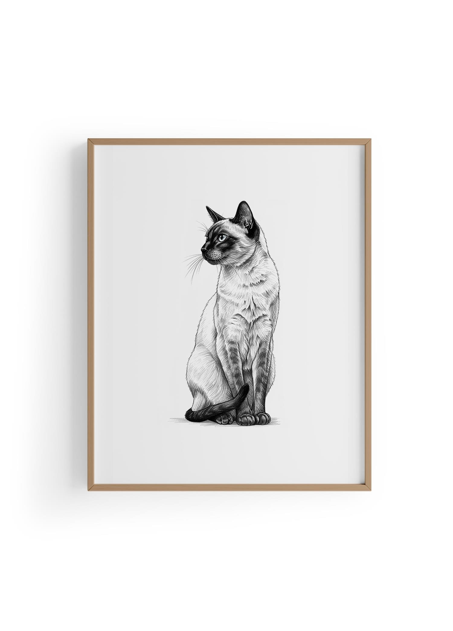 Karakalem Koleksiyonu Kedi Posteri