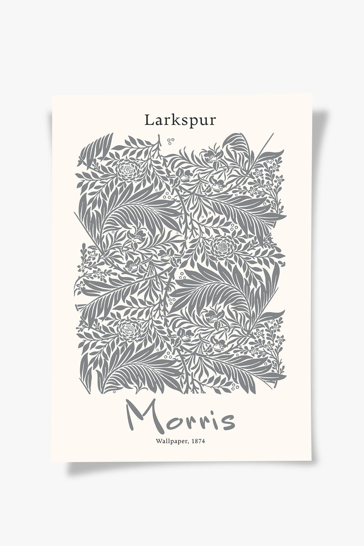 Larkspur