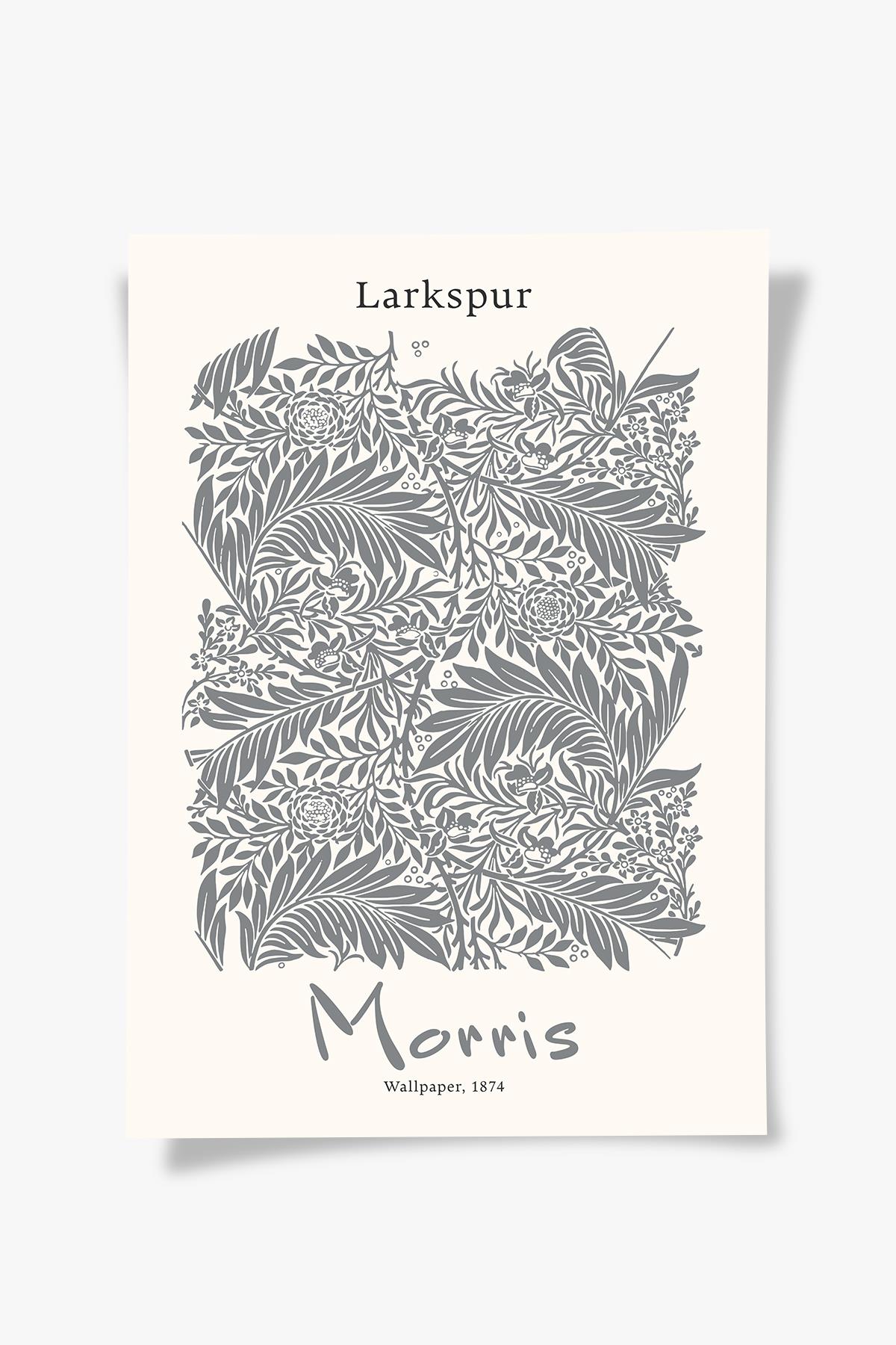 Larkspur