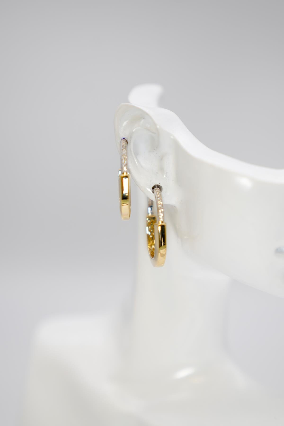 14 Ayar Altın Kalemli İki Renkli Oval Küpe – Şık Tasarım, Kadınlara Özel Lüks Model