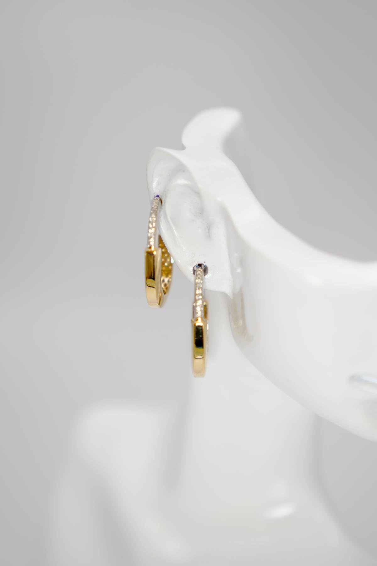 14 Ayar Altın Kalemli İki Renkli Oval Küpe – Şık Tasarım, Kadınlara Özel Lüks Model