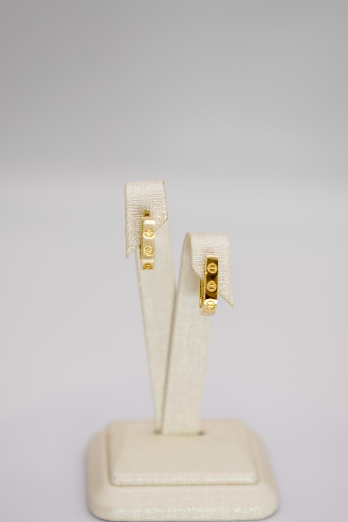 Desenli Yüzey Detaylı 14 Ayar Altın Halka Form Küpe