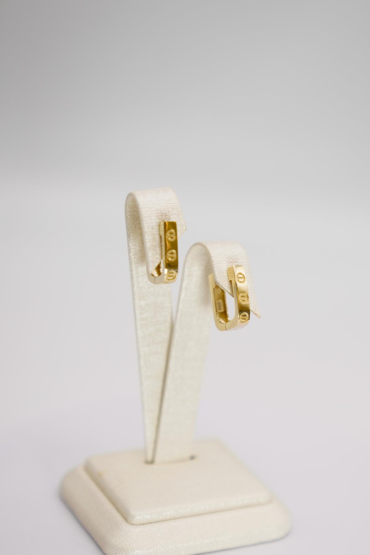 Desenli Yüzey Detaylı 14 Ayar Altın Halka Form Küpe