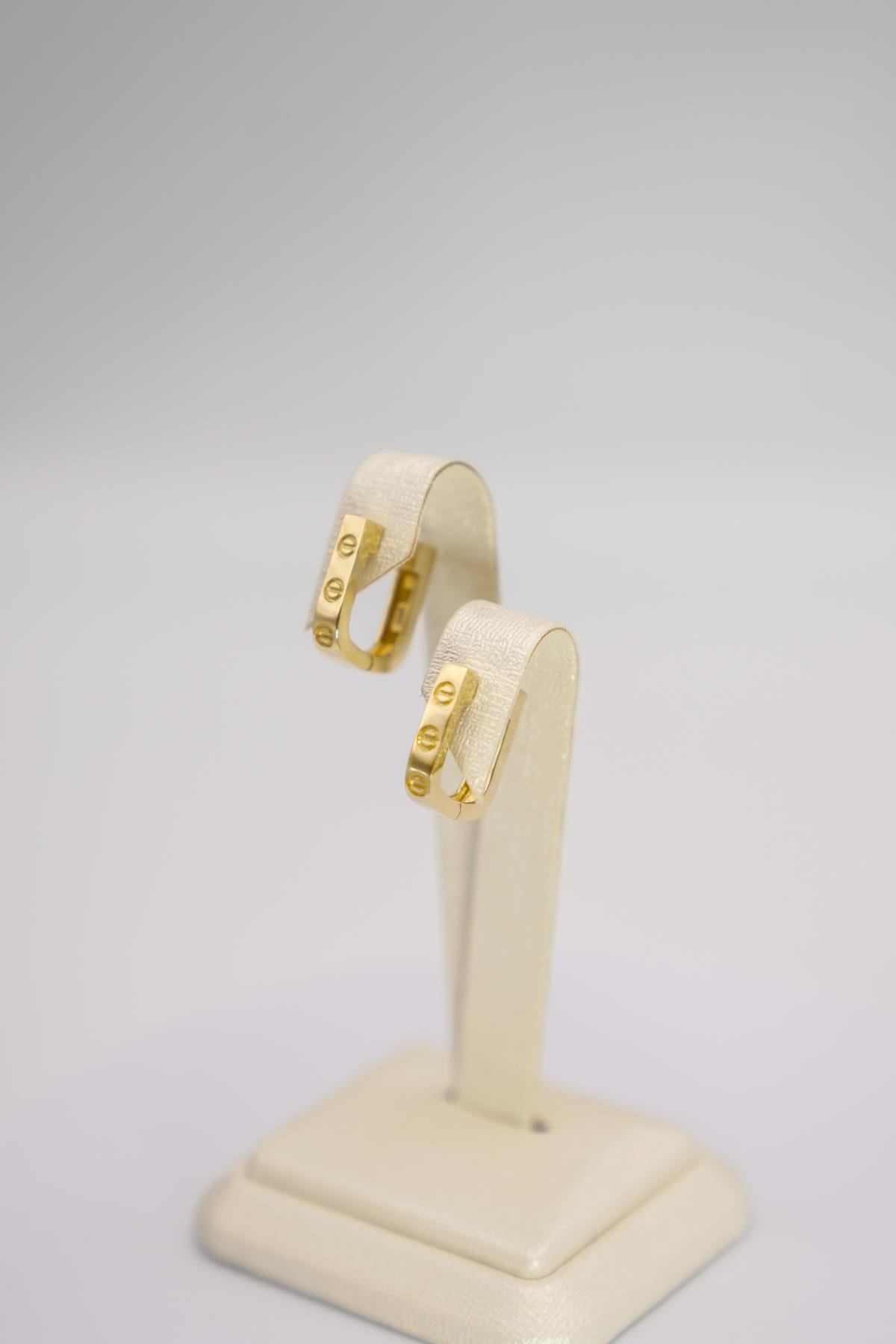 Desenli Yüzey Detaylı 14 Ayar Altın Halka Form Küpe