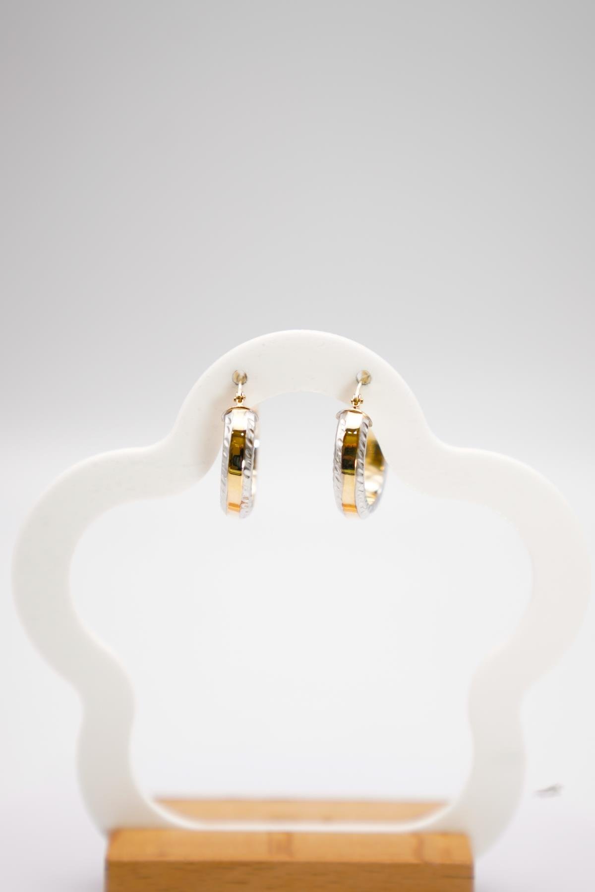 İki Renkli 14 Ayar Kalemli Altın Halka Küpe – Orta Boy Parlak Yüzeyli Kadın Takı Modeli